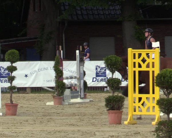 Reitturnier Münster-Handorf 2021