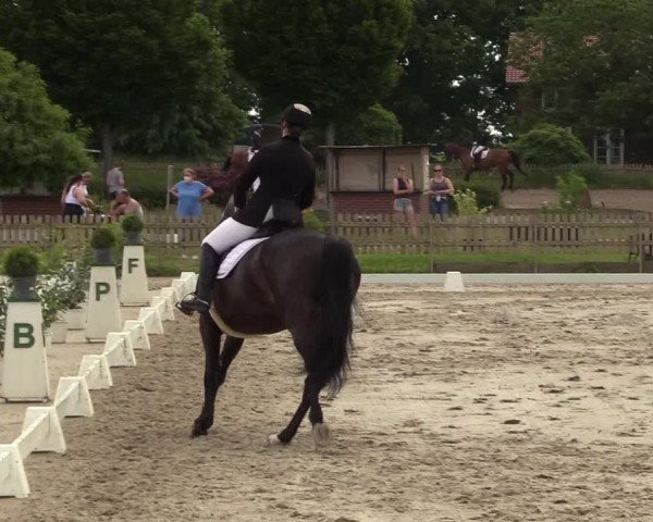 Reitturnier Schülp / Rendsburg 2021