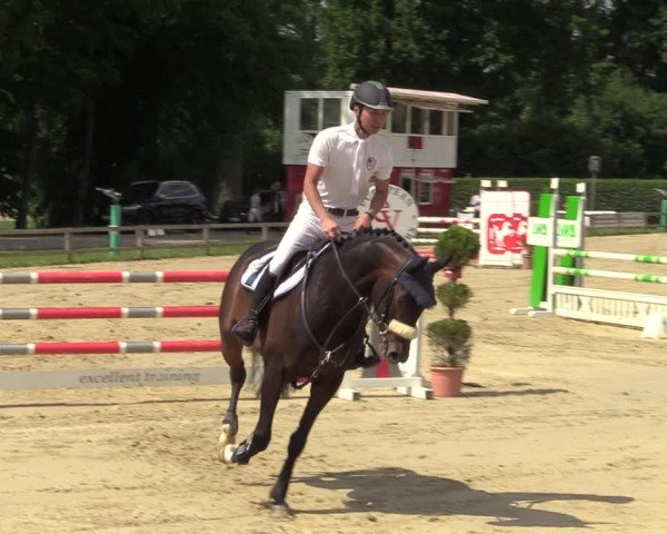 Reitturnier Münster-Handorf 2021