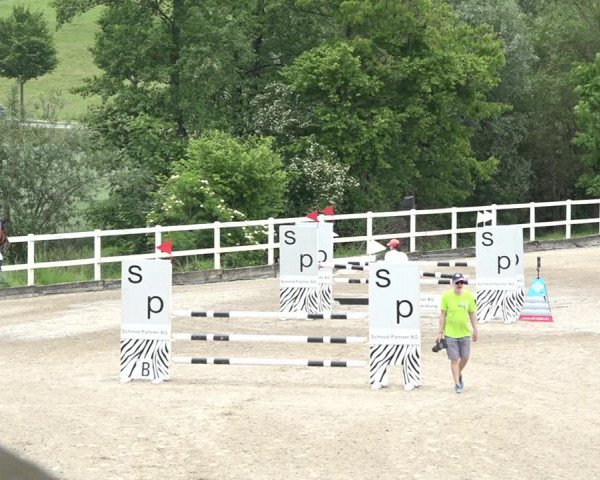 Reitturnier Aesch bei Neftenbach 2021