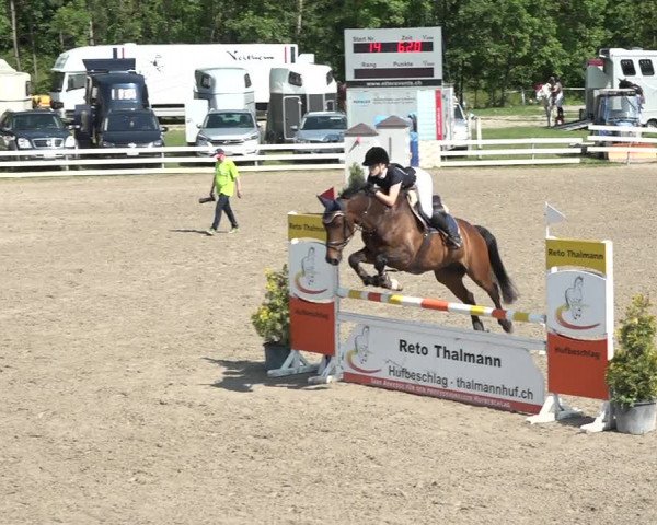 Reitturnier Aesch bei Neftenbach 2021