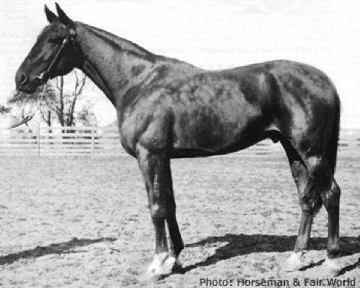stallion Scotland 68146 (US) (American Trotter, 1925, from Peter Scott US-64391)