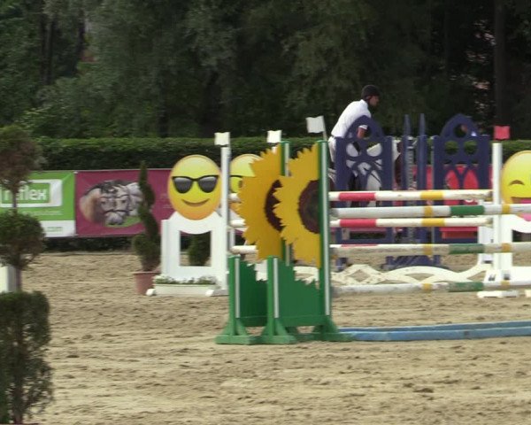 Reitturnier Münster-Handorf 2021