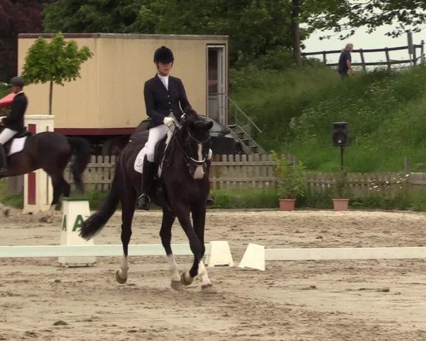 Reitturnier Schülp / Rendsburg 2021