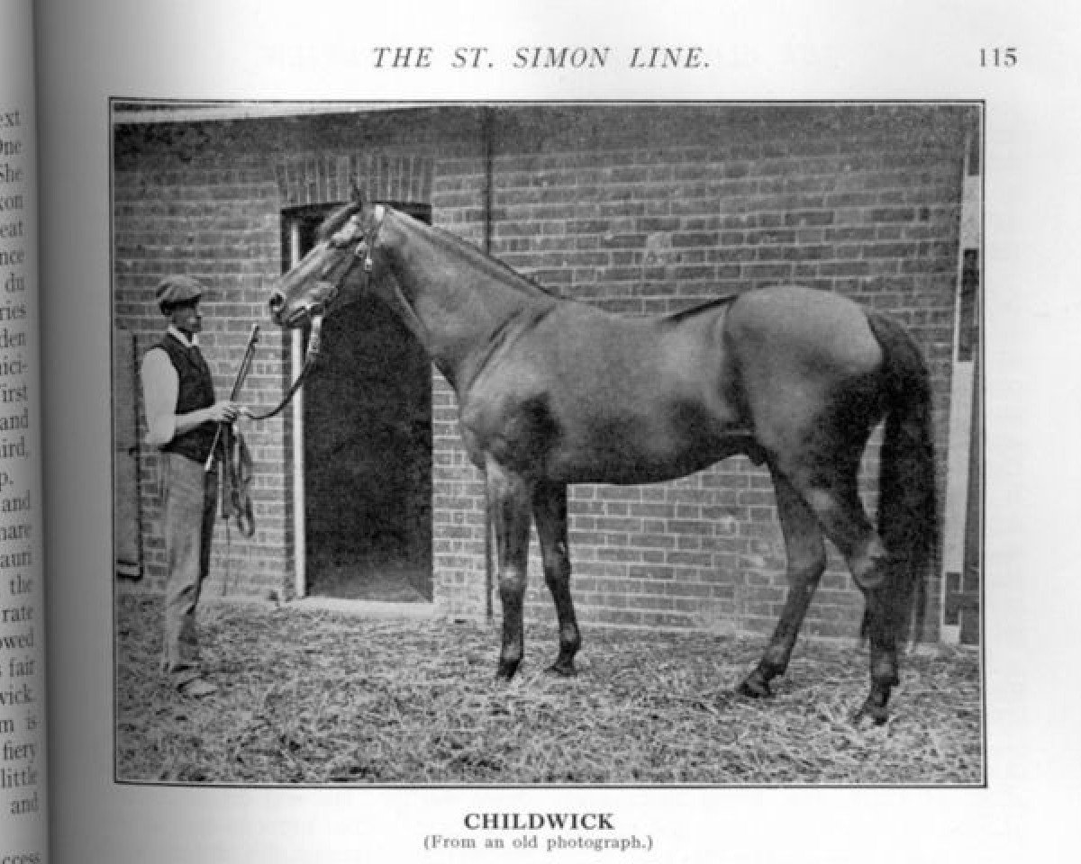 stallion Childwick xx (Thoroughbred, 1890, from Saint Simon xx)