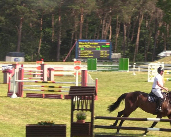 Reitturnier Wörmlitz 2021