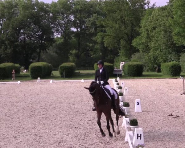 Reitturnier Münster-Handorf 2021