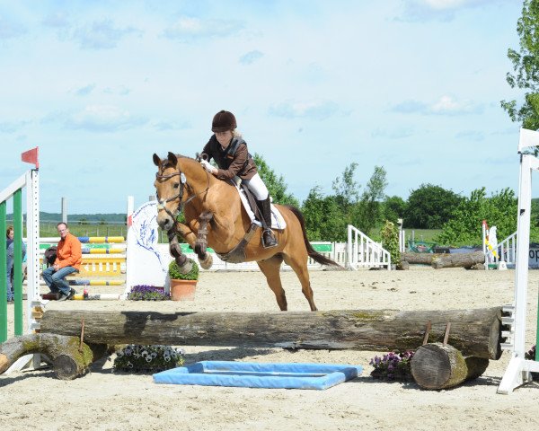 dressage horse Chicoletto D (German Riding Pony, 1993, from Colorado)
