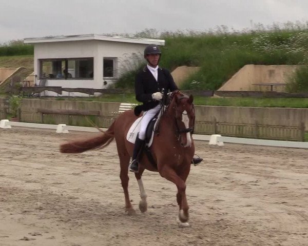 Reitturnier Schülp / Rendsburg 2021