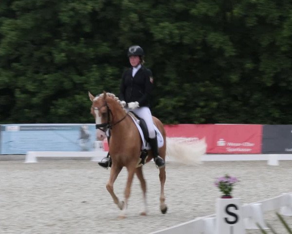 Reitturnier Elmlohe 2021