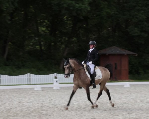 Reitturnier Elmlohe 2021