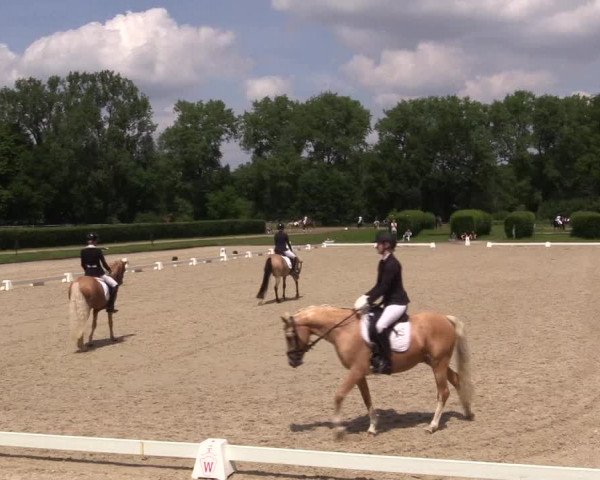 Reitturnier Münster-Handorf 2021