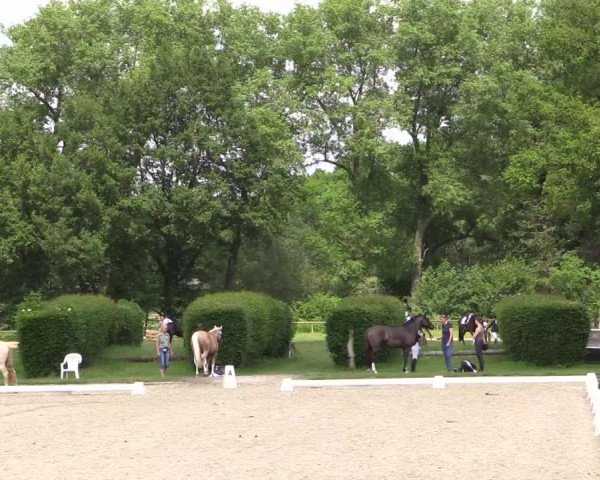 Reitturnier Münster-Handorf 2021