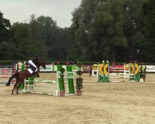 Reitturnier Münster-Handorf 2021