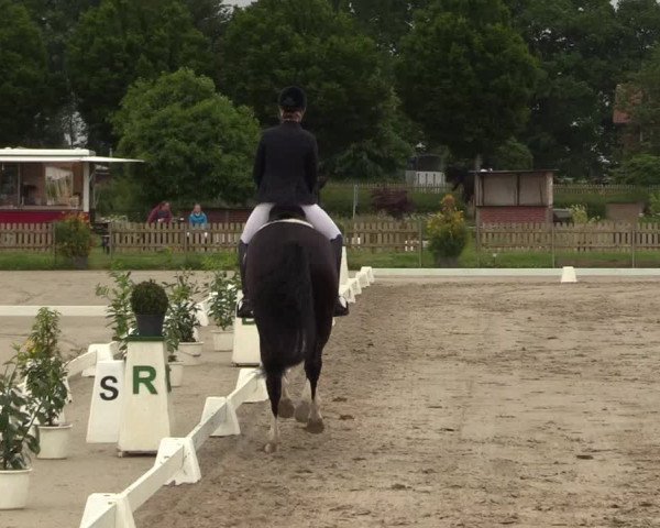 Reitturnier Schülp / Rendsburg 2021