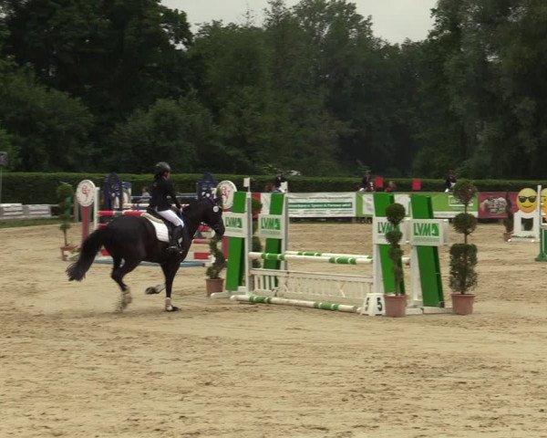 Reitturnier Münster-Handorf 2021