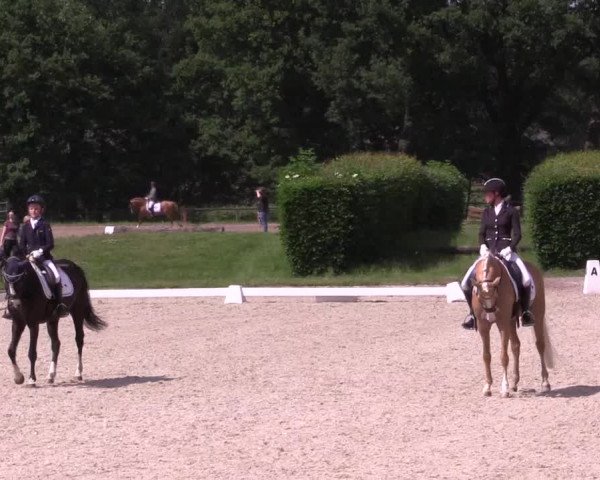 Reitturnier Münster-Handorf 2021