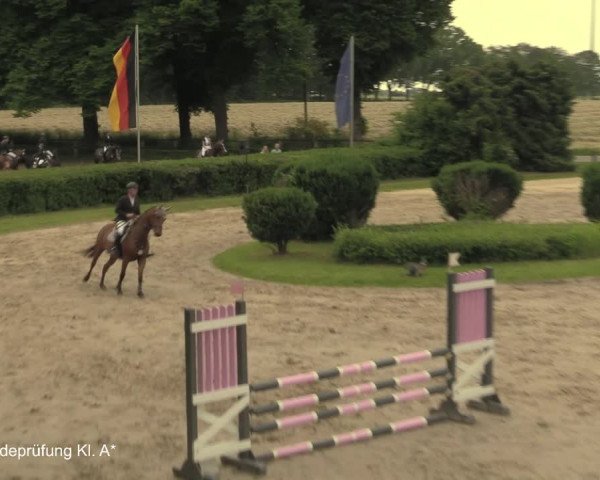 Reitturnier Recklinghausen 2021