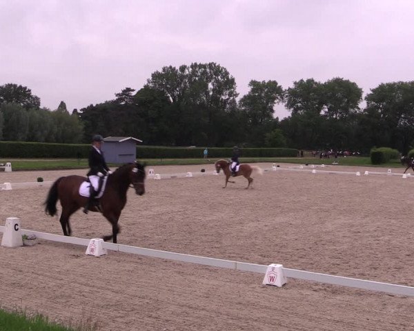 Reitturnier Münster-Handorf 2021