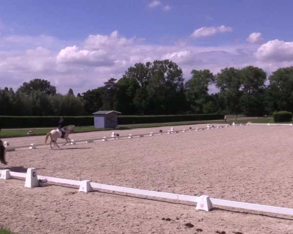 Reitturnier Münster-Handorf 2021