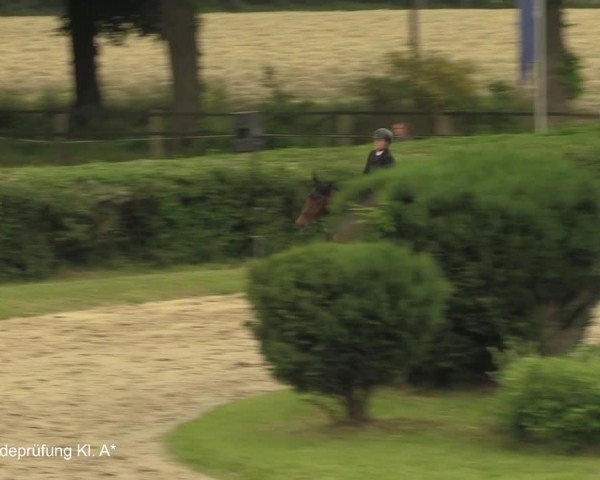 Reitturnier Recklinghausen 2021