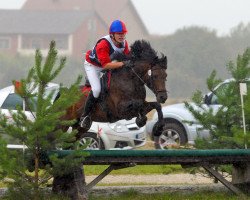 stallion Greenwood Rascal (New Forest Pony, 1995, from Kantje's Ronaldo)