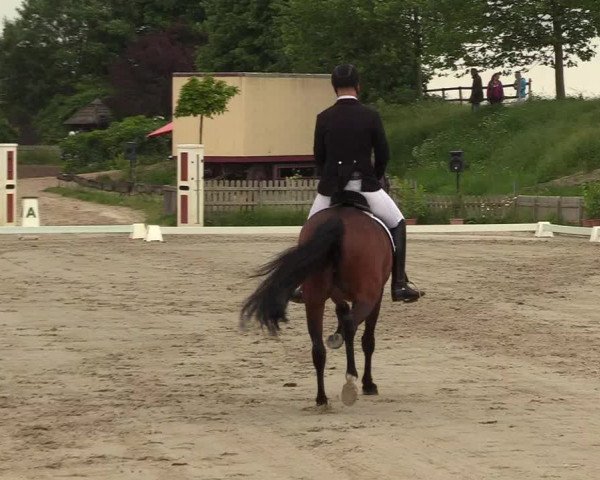 Reitturnier Schülp / Rendsburg 2021