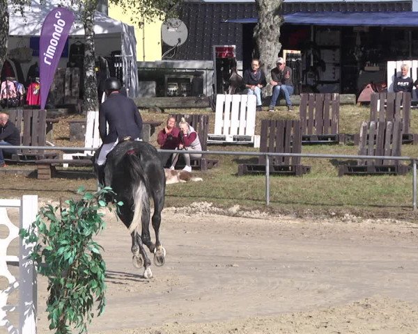 Reitturnier Neunkirchen-City 2021