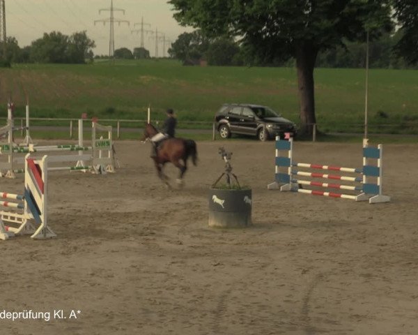 Reitturnier Recklinghausen 2021