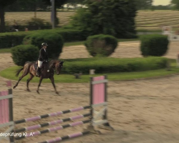Reitturnier Recklinghausen 2021