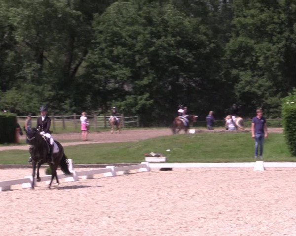 Reitturnier Münster-Handorf 2021