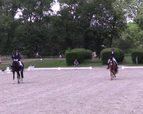 Reitturnier Münster-Handorf 2021