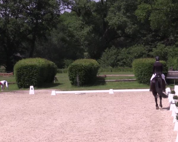 Reitturnier Münster-Handorf 2021
