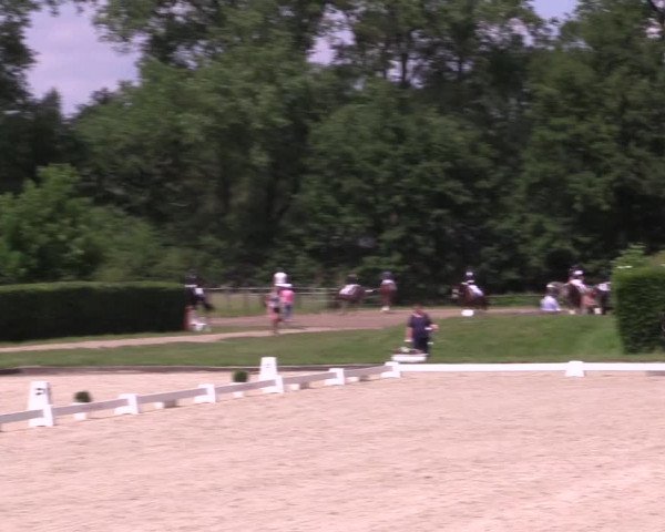 Reitturnier Münster-Handorf 2021