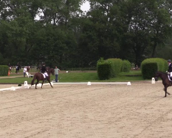 Reitturnier Münster-Handorf 2021