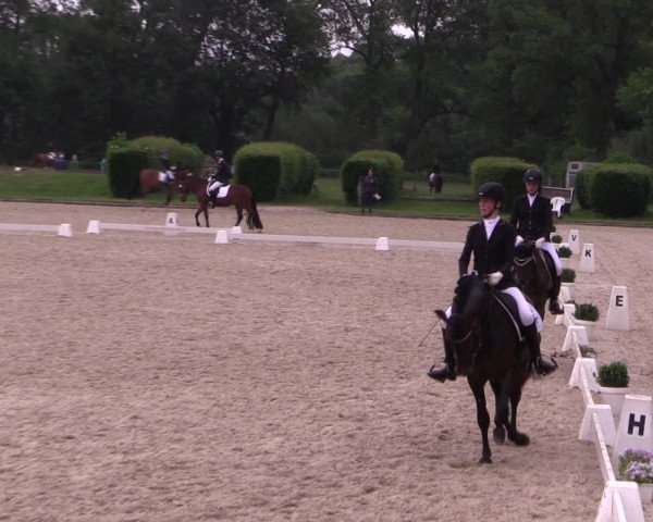 Reitturnier Münster-Handorf 2021