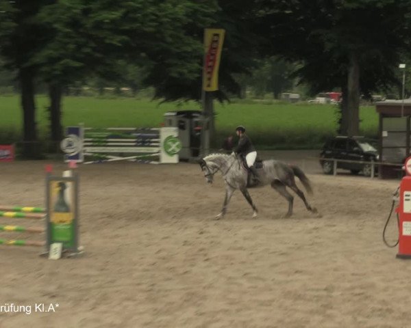 Reitturnier Recklinghausen 2021