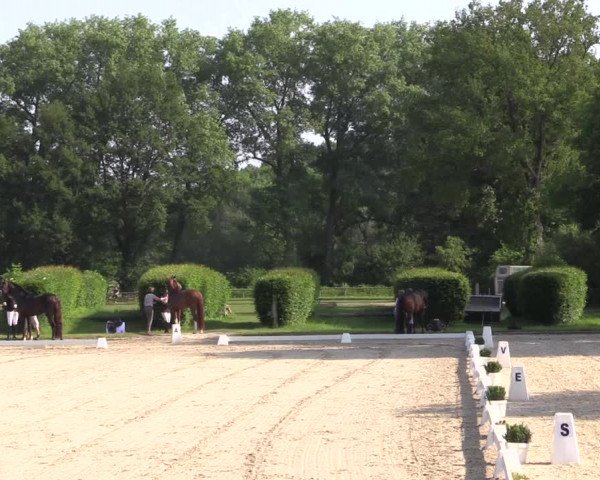 Reitturnier Münster-Handorf 2021