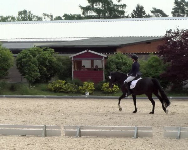 Reitturnier Nürnberg/Mfr. 2021