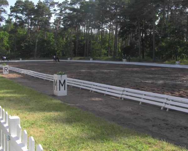 Reitturnier Wörmlitz 2021