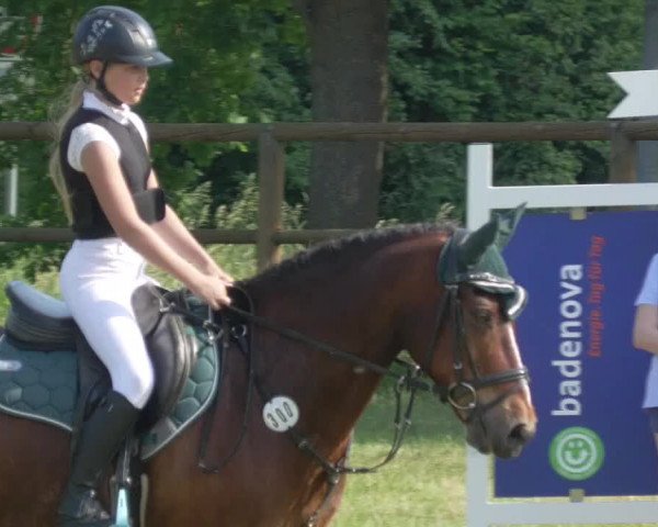 Reitturnier Lahr-Langenwinkel 2021