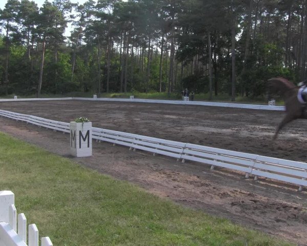Reitturnier Wörmlitz 2021