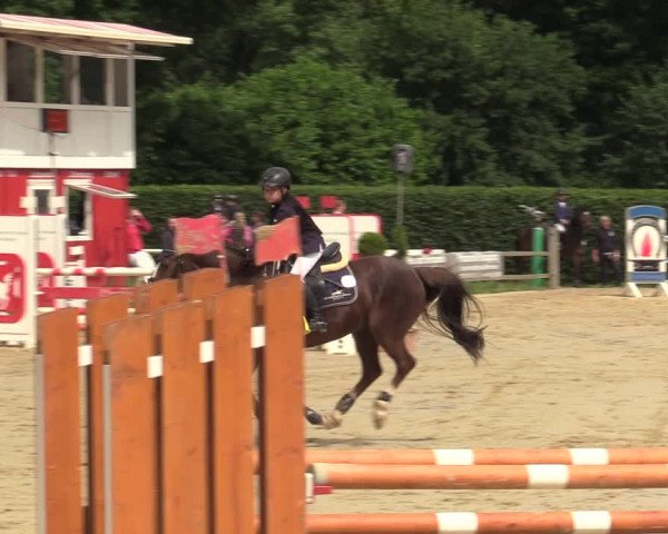 Reitturnier Münster-Handorf 2021