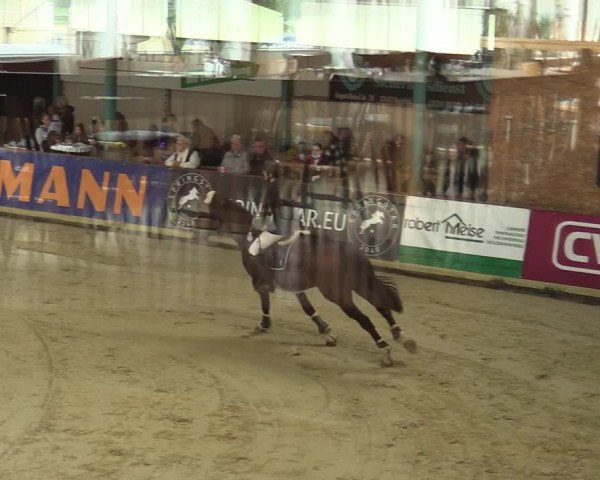 Steinhagen Classics 2021