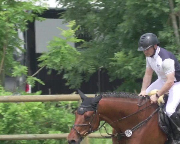 Reitturnier Lahr-Langenwinkel 2021