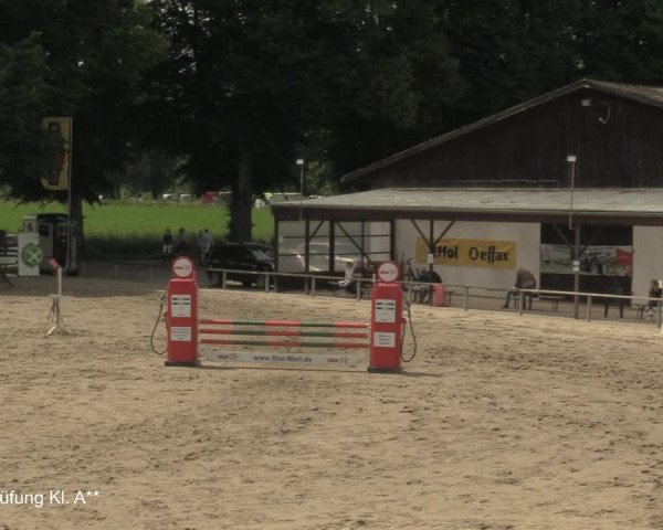 Reitturnier Recklinghausen 2021