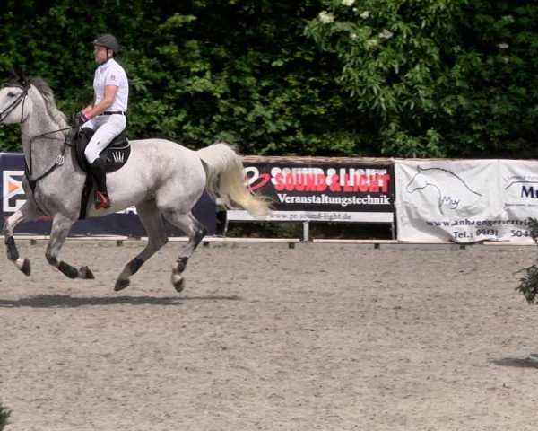 Reitturnier Worms-Pfeddersheim / Reitsportanlage Wittemer 2021