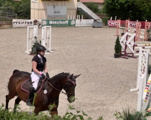 Reitturnier Worms-Pfeddersheim / Reitsportanlage Wittemer 2021