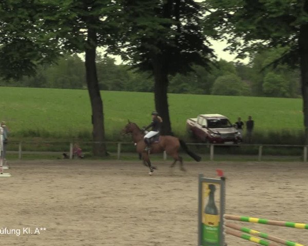 Reitturnier Recklinghausen 2021