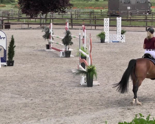Reitturnier Worms-Pfeddersheim / Reitsportanlage Wittemer 2021
